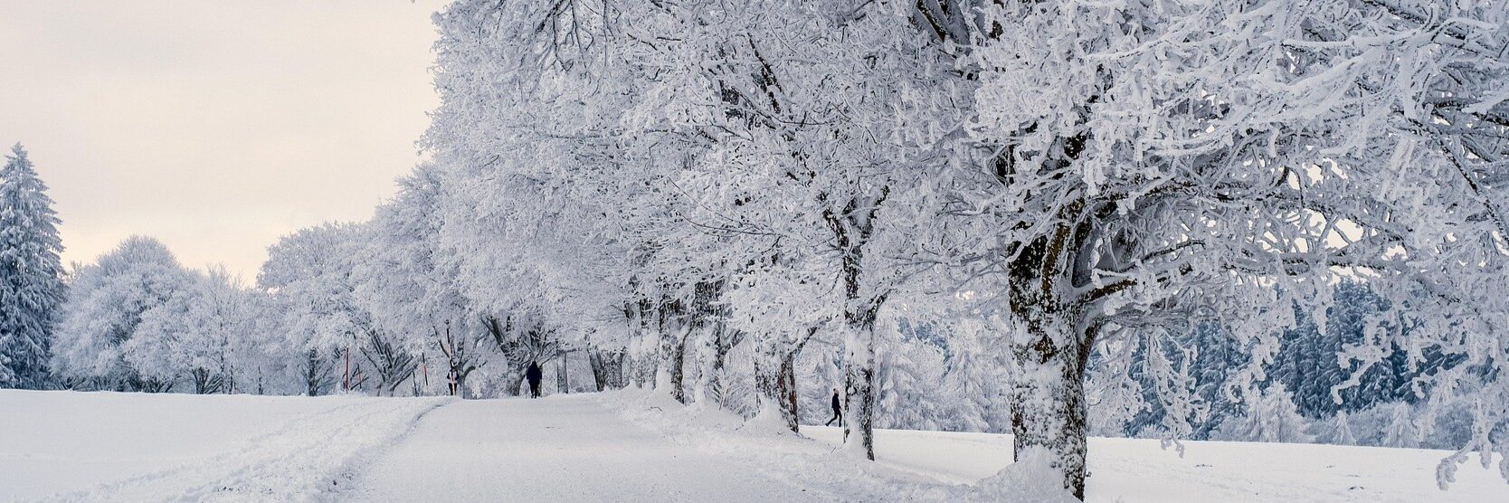 US Arctic winter