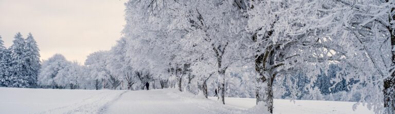 US Arctic winter