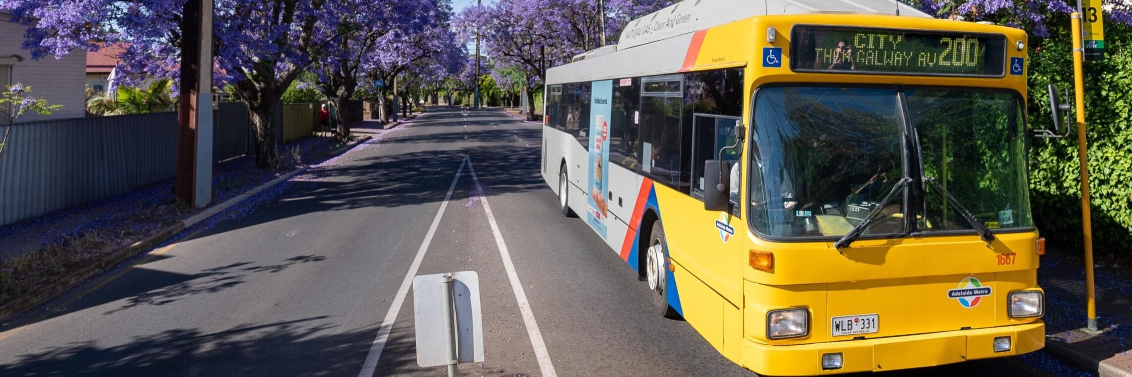 Adelaide buses