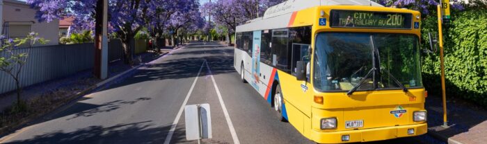 Adelaide buses