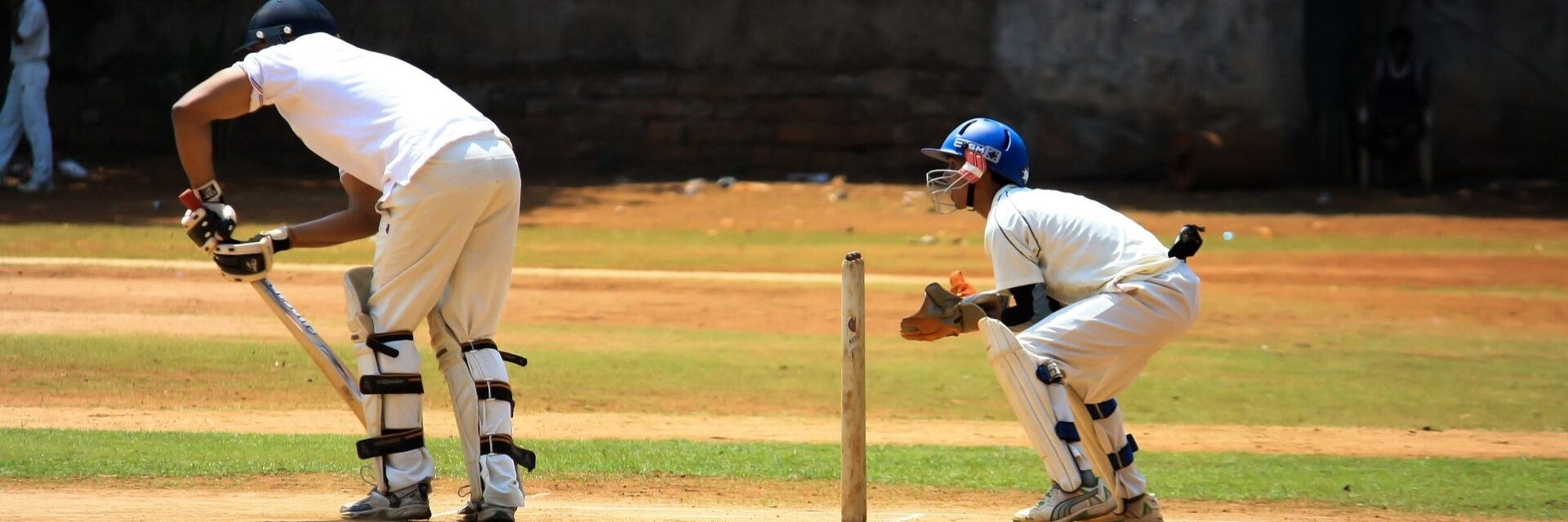 cricket aussie