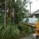 Qld cyclone Alfred