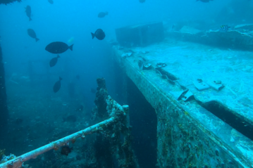 HMAS Brisbane TC