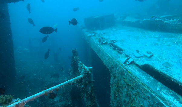 HMAS Brisbane TC