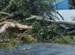 cyclone alfred byron bay