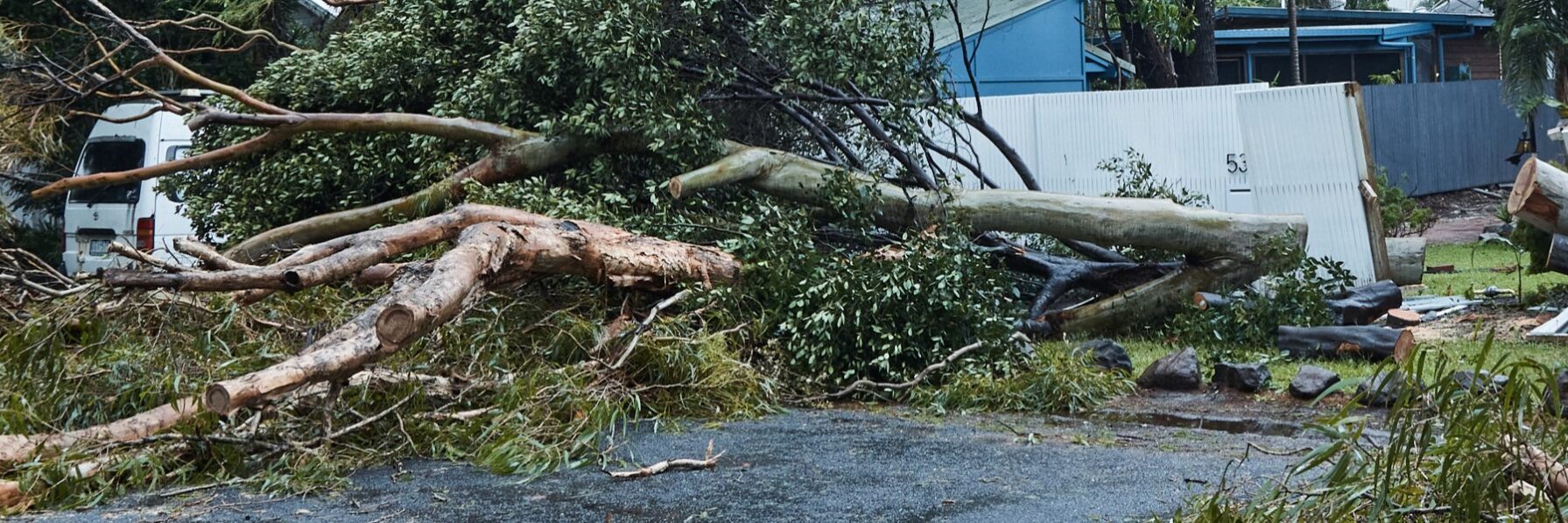 cyclone alfred byron bay