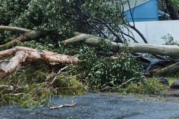 cyclone alfred byron bay