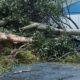 cyclone alfred byron bay