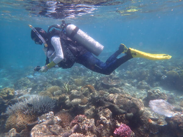 Lizard Island