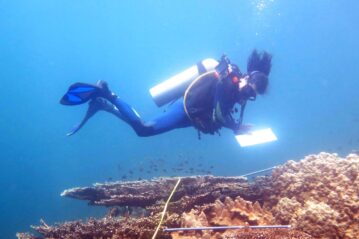 Lizard Island