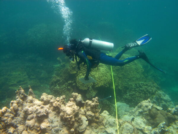 Lizard Island