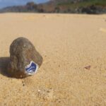 Debris balls to disappear under NSW’s $3 billion plan for Malabar wastewater plant