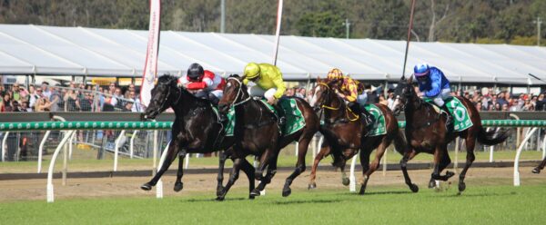 The Ipswich Cup is among feature events of the month-long Festival of Horsepower. Photo: ANDREW KACIMAIWAI