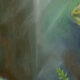 An artistic impression of the newly discovered frog species (right) and a previously described species (left), both from Murgon. Image: Samantha Yabsley.