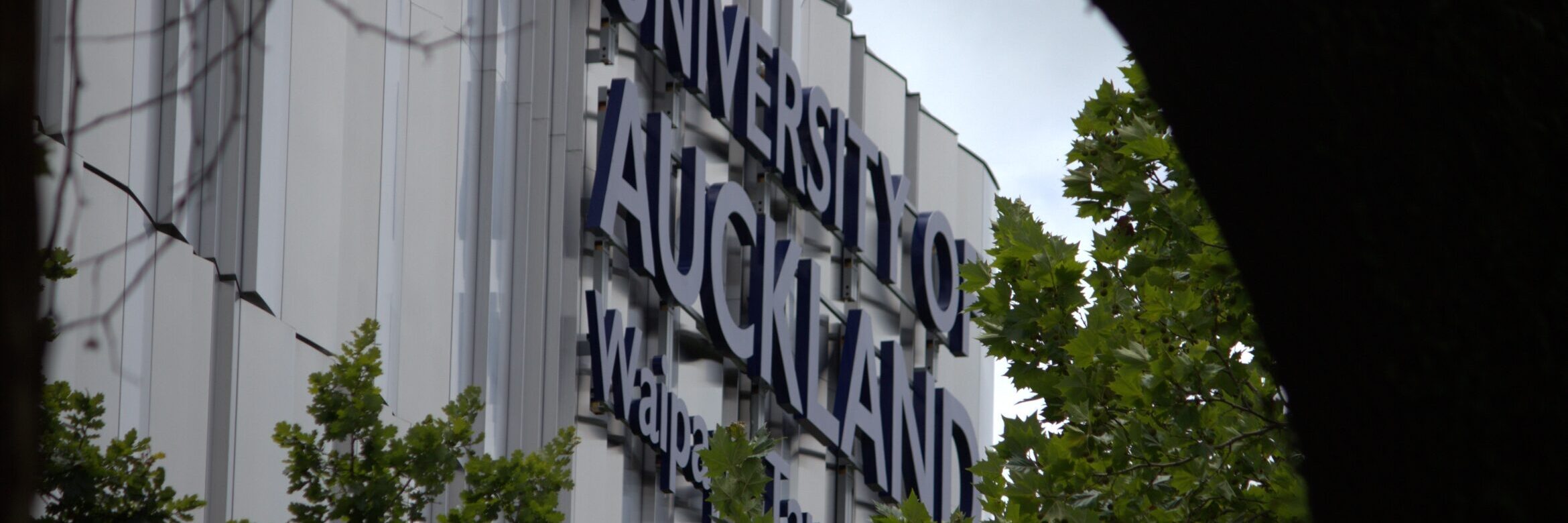 The University of Auckland is one NZ university receiving EU funding. Photo: ANDREW KACIMAIWAI