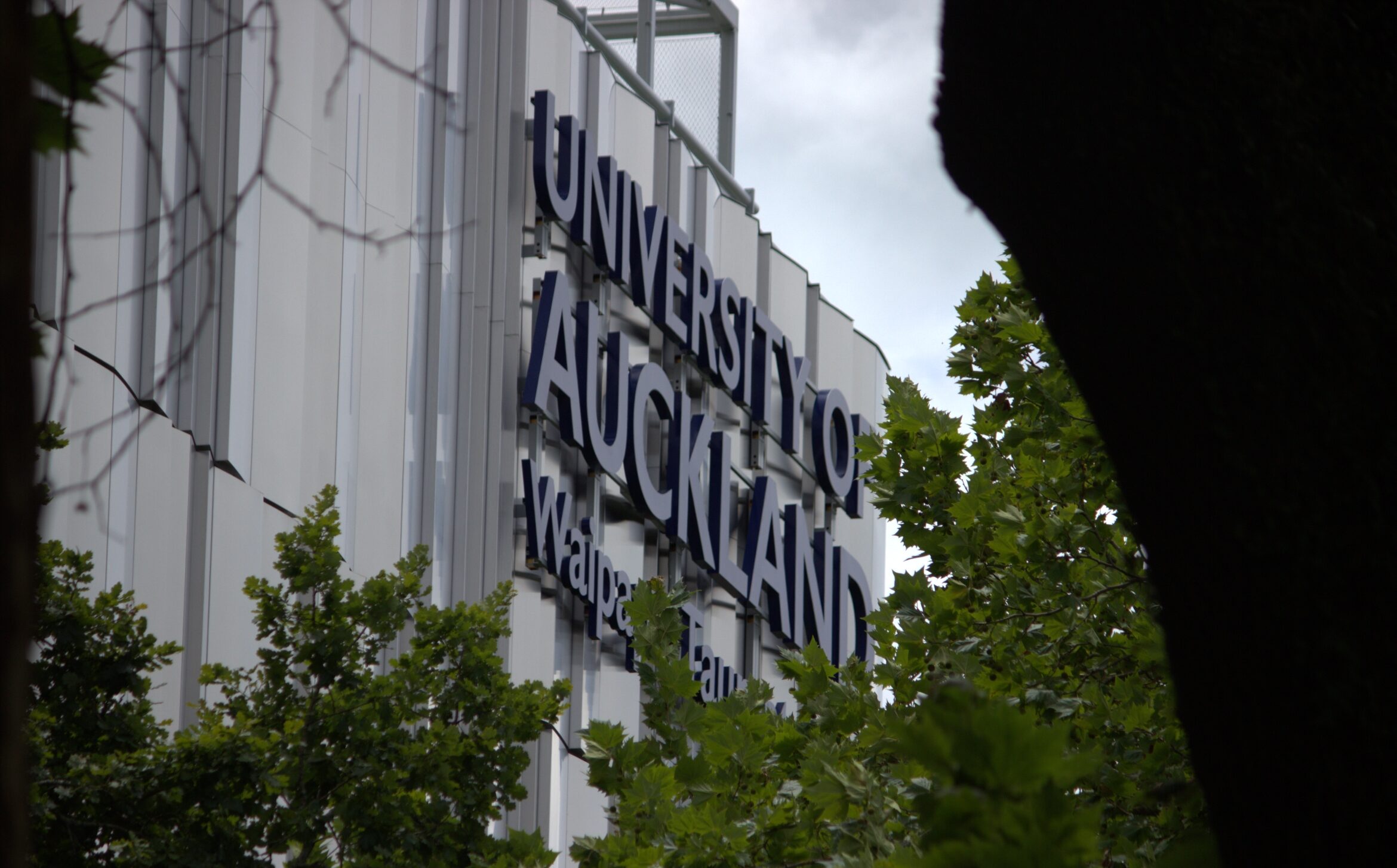 The University of Auckland is one NZ university receiving EU funding. Photo: ANDREW KACIMAIWAI