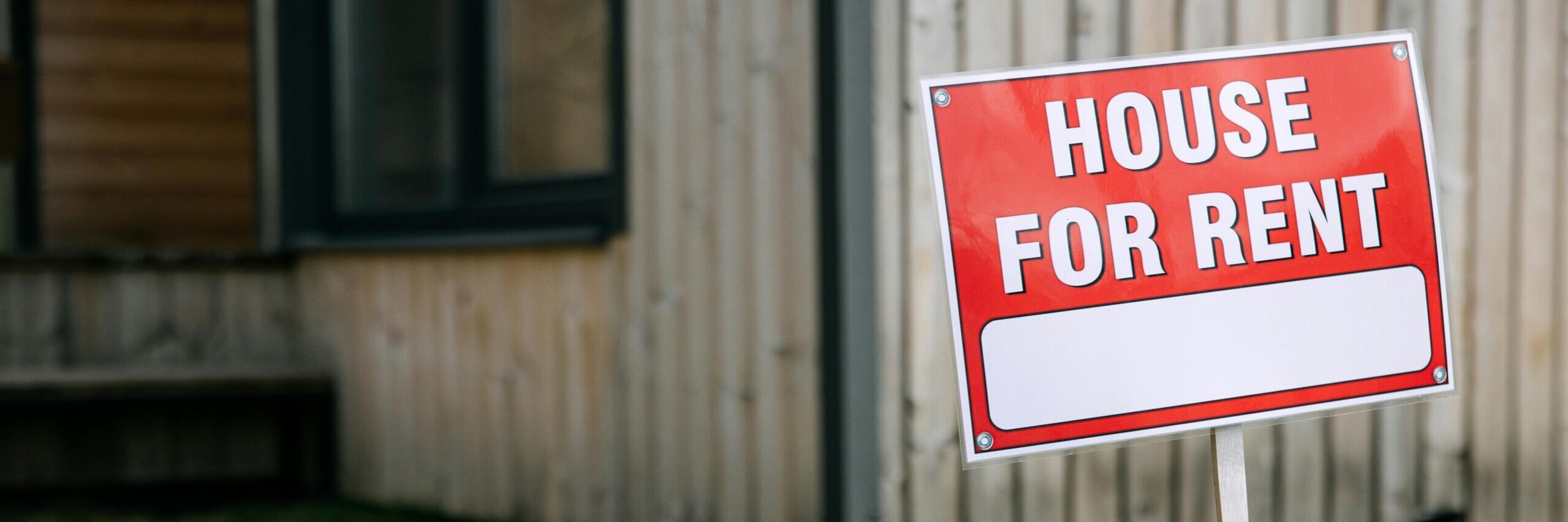 The REIQ says it is noticing more subdued letting activity despite a tight rental vacancy market. Photo: Ivan Samkov/pexels