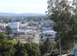 Ipswich City … council is to identify properties that could serve as the site of a 400m artificial athletics track. Photo courtesy ANDREW KACIMAIWAI
