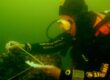 A museum diver in Newport Harbor waters in 2019. Photo: supplied