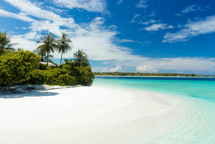 A family trip to a tropical island was among many claims made and rejected. Photo: jcob nasyr/Unsplash