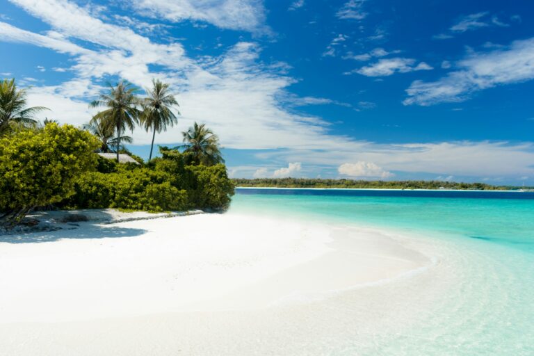 A family trip to a tropical island was among many claims made and rejected. Photo: jcob nasyr/Unsplash
