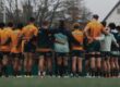 The Wallabies squad for the Test features a 20-16 split in favour of the forwards. Photo: @wallabies/X (Twitter)
