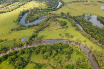 Caboolture River will be subject to vegetation restoration work. Photo: supplied/MBCC
