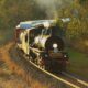 Bety will come down from the Sunshine Coast to carry passengers in the city. Photo: Queensland Rail