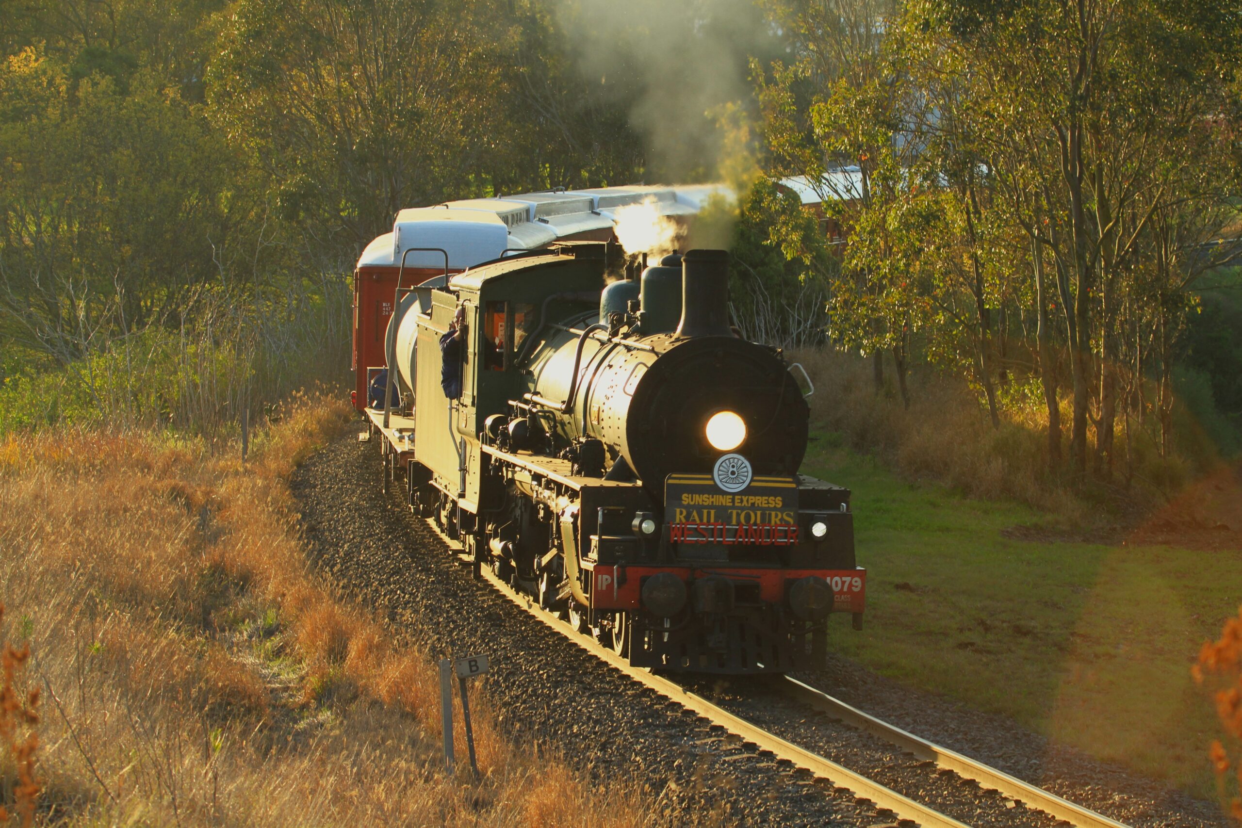 Bety will come down from the Sunshine Coast to carry passengers in the city. Photo: Queensland Rail
