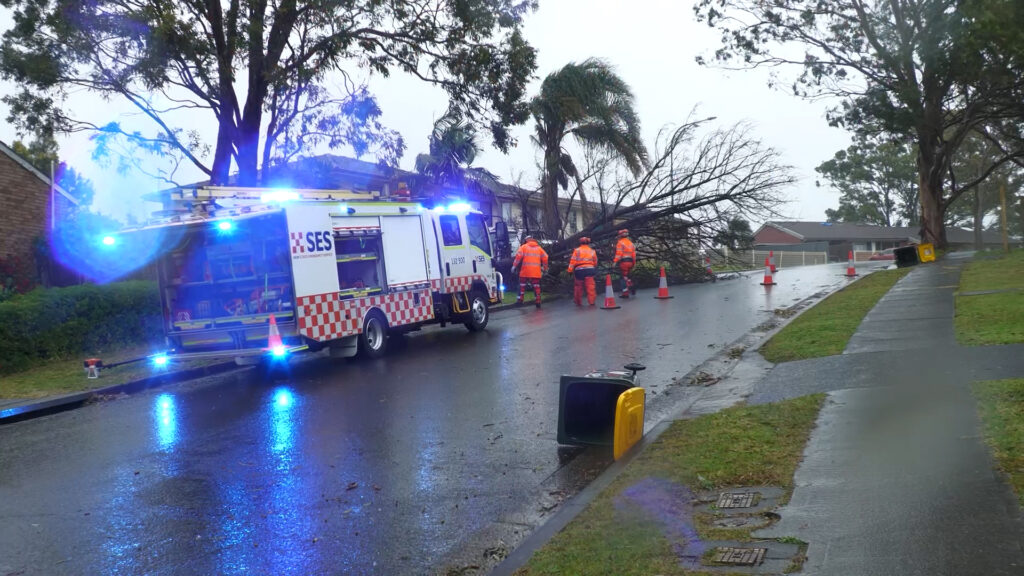 NSW SES crews attend to a fallen tree on Tuesday, July 1, 2025. Photo: @NSWSES/X