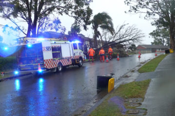 NSW SES crews attend to a fallen tree on Tuesday, July 1, 2025. Photo: @NSWSES/X