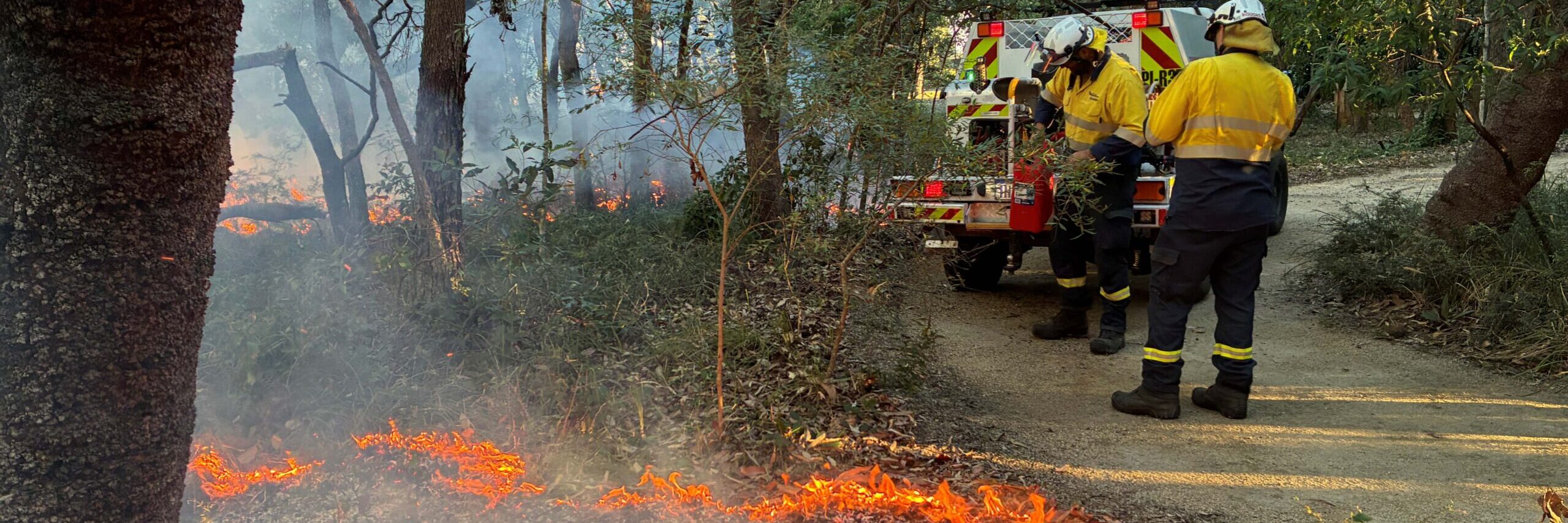 Planned burns to reduce to fuel loads in Moreton Bay have begun. Photo: supplied/MBCC