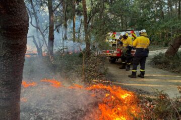 Planned burns to reduce to fuel loads in Moreton Bay have begun. Photo: supplied/MBCC