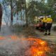 Planned burns to reduce to fuel loads in Moreton Bay have begun. Photo: supplied/MBCC