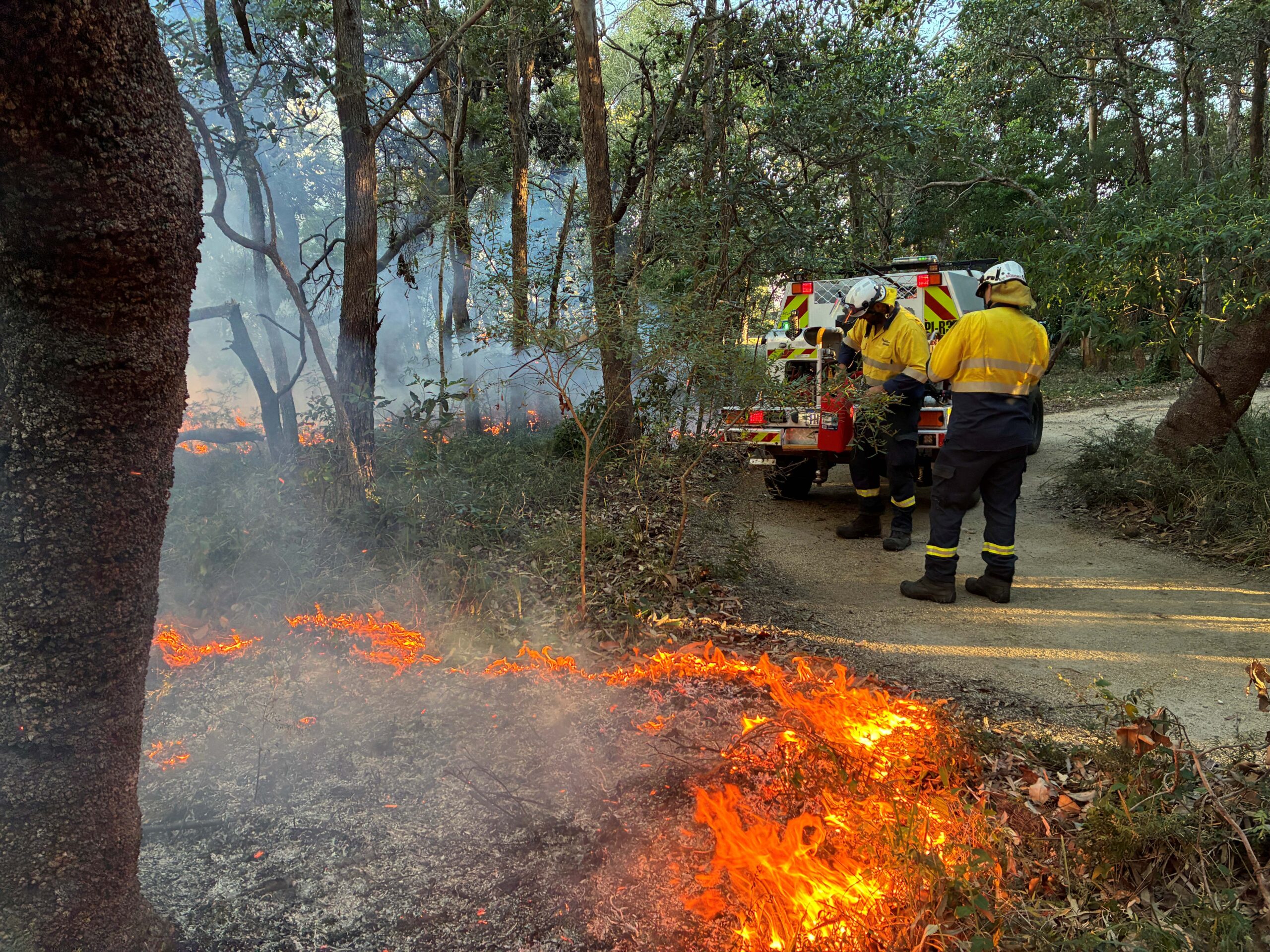 Planned burns to reduce to fuel loads in Moreton Bay have begun. Photo: supplied/MBCC