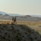 Researchers study mounds near the ancient citadel of Gordion, Turkey. Photo: Prof Brian Rose (Penn Museum)