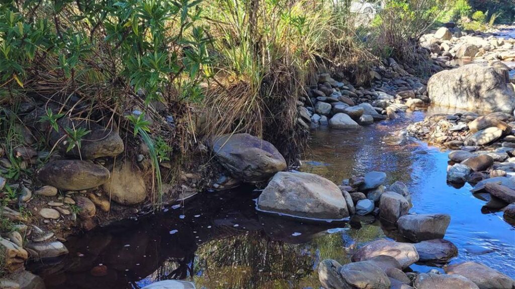 Fossicking for gold into a creek next to a campsite on New Zealand’s South Island could trigger problems, Kiwi officials say. Photo: NZ DoC