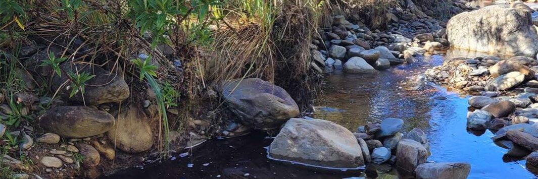 Fossicking for gold into a creek next to a campsite on New Zealand’s South Island could trigger problems, Kiwi officials say. Photo: NZ DoC