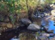 Fossicking for gold into a creek next to a campsite on New Zealand’s South Island could trigger problems, Kiwi officials say. Photo: NZ DoC
