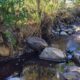 Fossicking for gold into a creek next to a campsite on New Zealand’s South Island could trigger problems, Kiwi officials say. Photo: NZ DoC