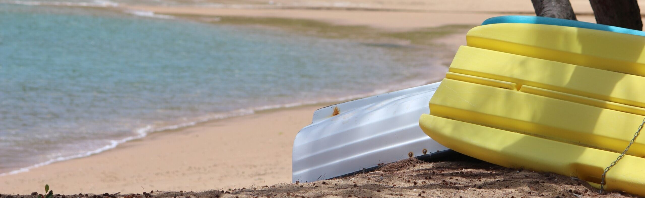 Magnetic Island off the Townsville coast: regional Queensland is proving very popular, says the REIQ. Photo courtesy ANDREW KACIMAIWAI