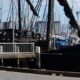 The Notorious, a replica of a 15th century caravel, docked in Scarborough Harbour. Photo: ANDREW KACIMAIWAI