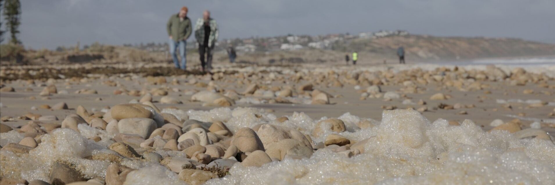 A screen capture from a new documentary, Sea Sick, about the algal bloom. Photo: Surfers for Climate