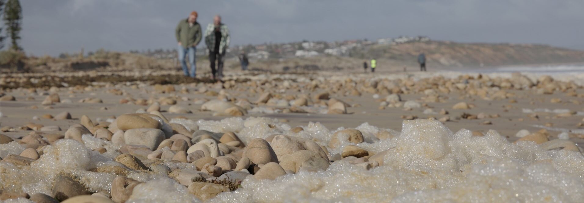 A screen capture from a new documentary, Sea Sick, about the algal bloom. Photo: Surfers for Climate