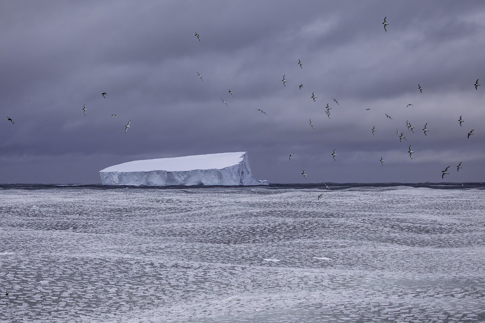 AI Generated Insights: Antarctica's Ice Shrinks Faster Than You Think!