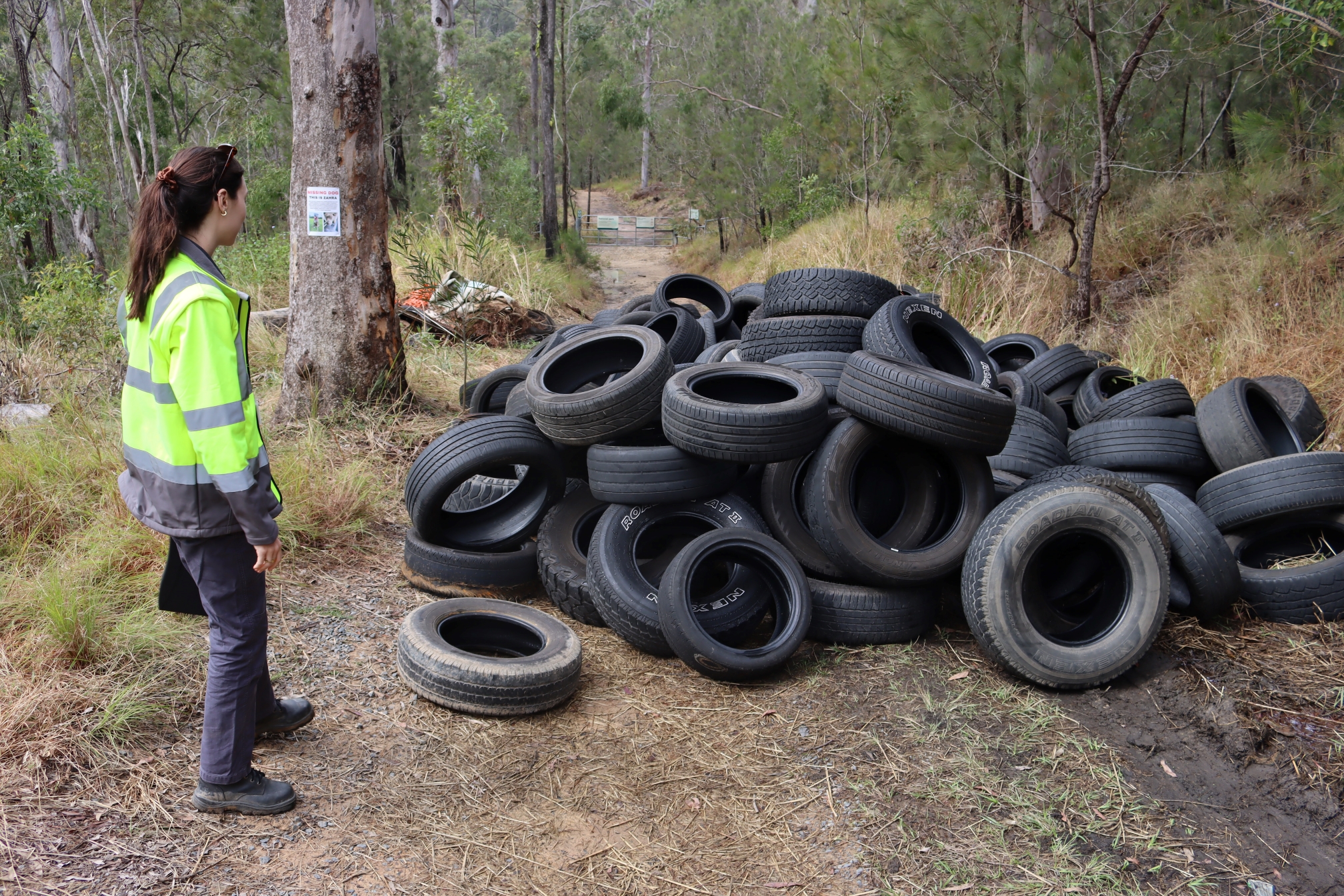 A compliance officer surveys one of the three dump sites. Photo: Qld Environment.