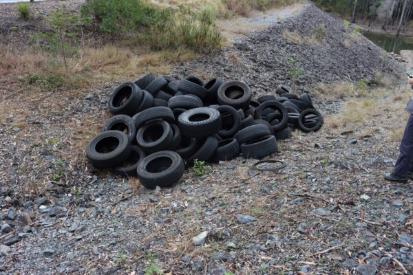 The tyres were found dumped at three sites. Photo: Qld Environment.