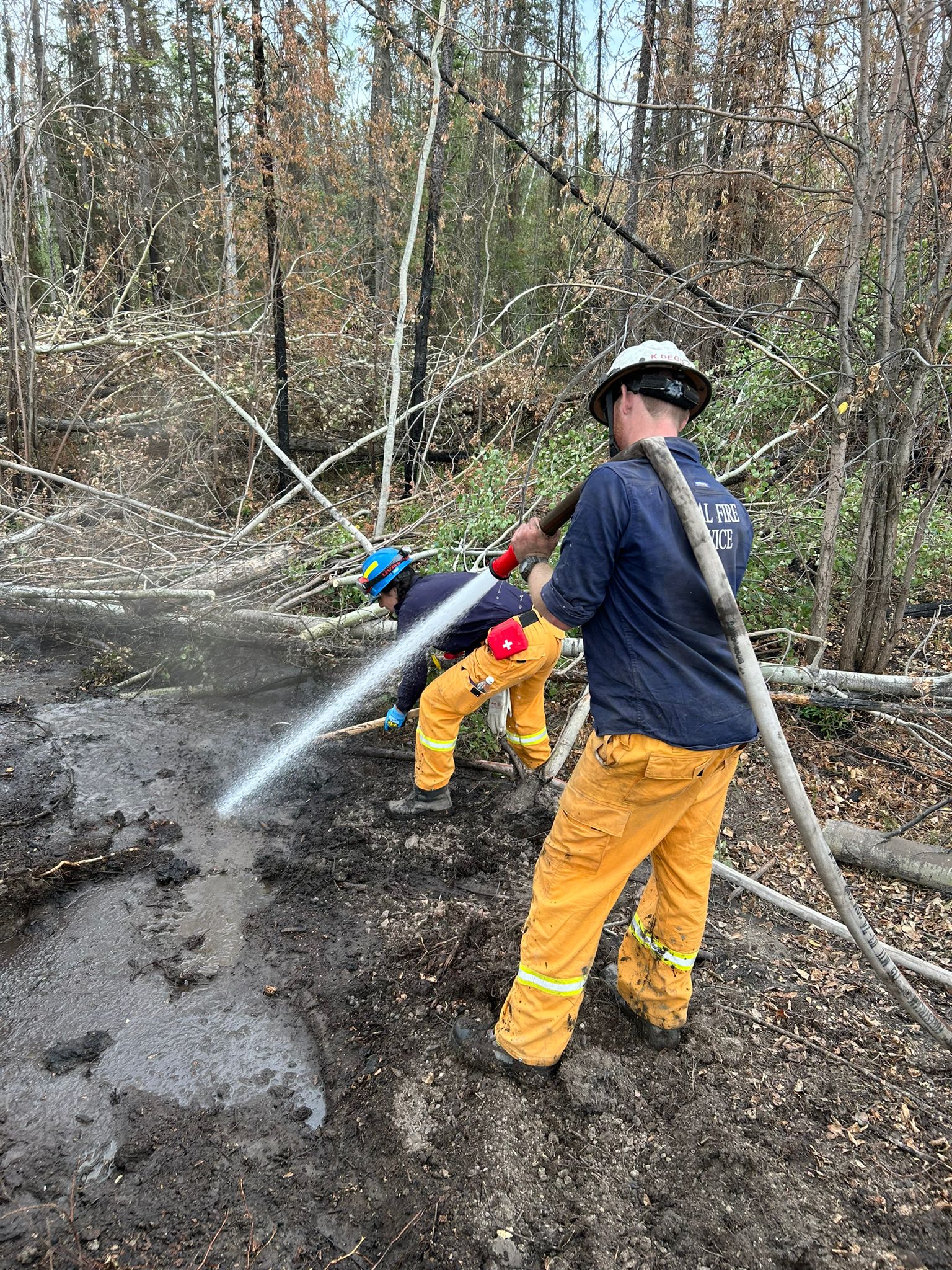 Queensland firefighters dousing the ground in Canada last year. Photo: Qld Fire Department