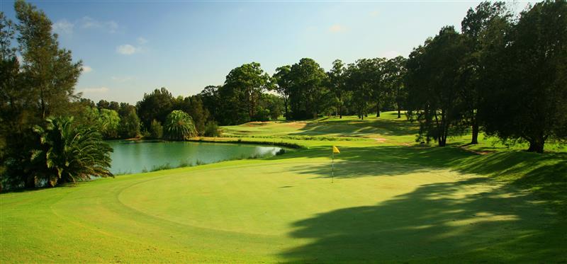 Carnarvon Golf Course at Lidcombe has been identified as a future cemetery. Photo: supplied