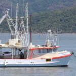 Queensland says it wants to raise Spanish mackerel catch quotas this year